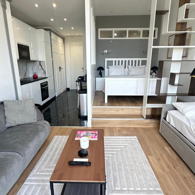 Suite luxueuse Avenue des Champs-Élysées - Appartement 1 Chambre - 9