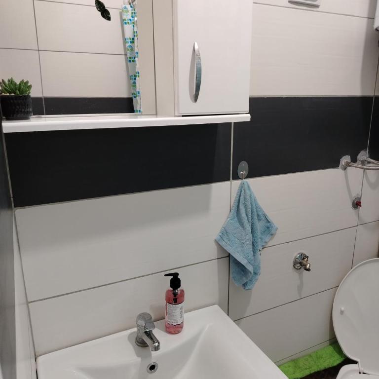 Drago Sutomore 2025 - Apartment - 3