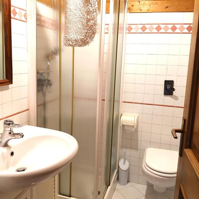 Casa Rosetta nel cuore delle Dolomiti - Casa con 1 dormitorio - 13