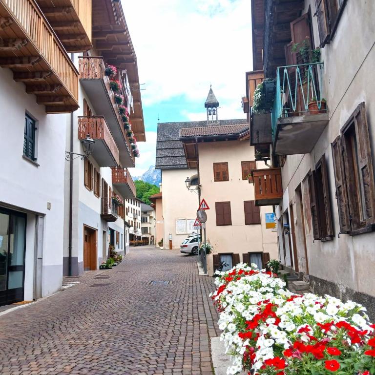 Casa Rosetta nel cuore delle Dolomiti - Casa con 1 dormitorio - 18