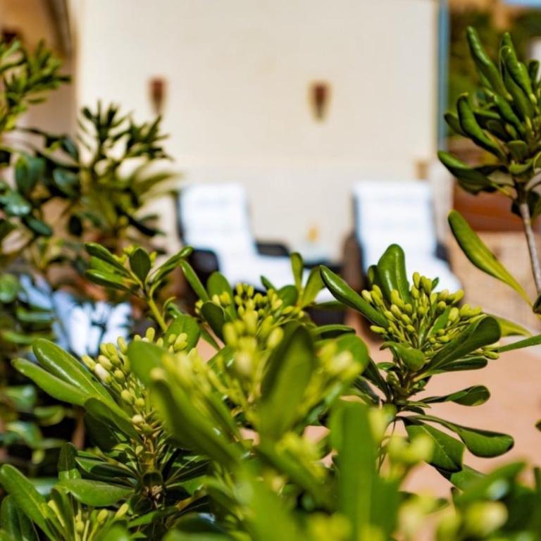 Charming 3 Bedroom Townhome in Artà, 1456 - Apartamento - 33