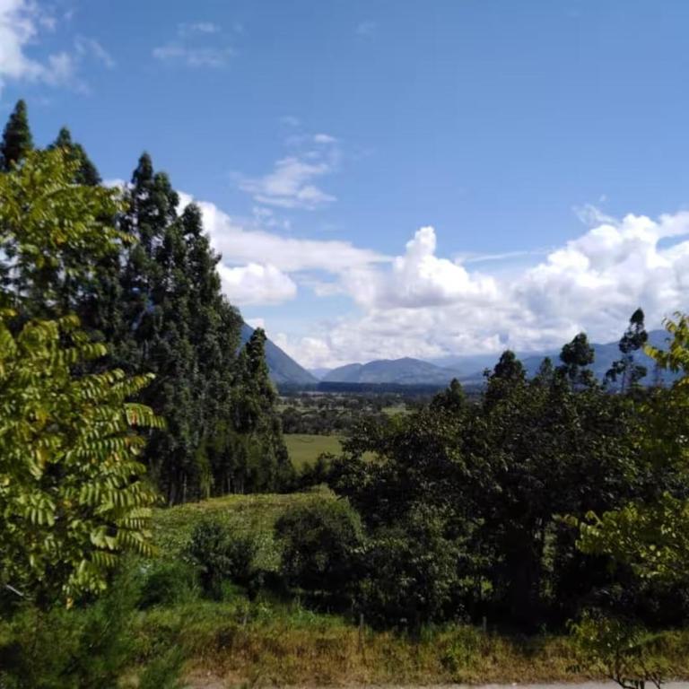 Cabaña con linda vista en Oxapampa - One-Bedroom Chalet - 18