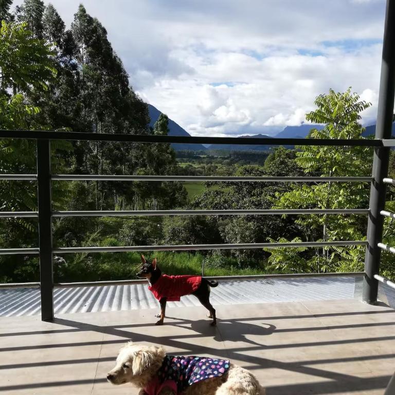 Cabaña con linda vista en Oxapampa - One-Bedroom Chalet - 16