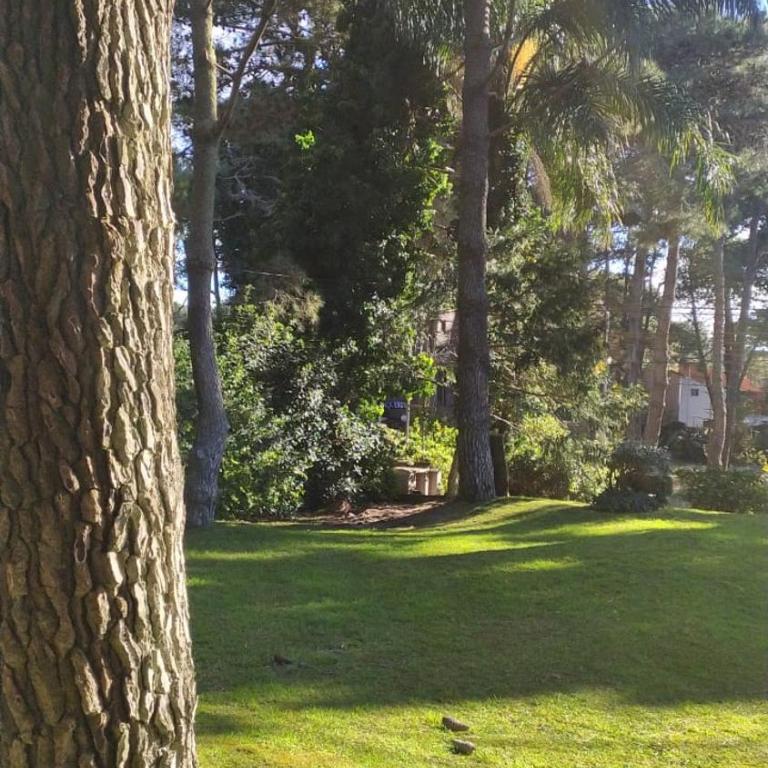 Casa del sol - Casa con 1 dormitorio - 4