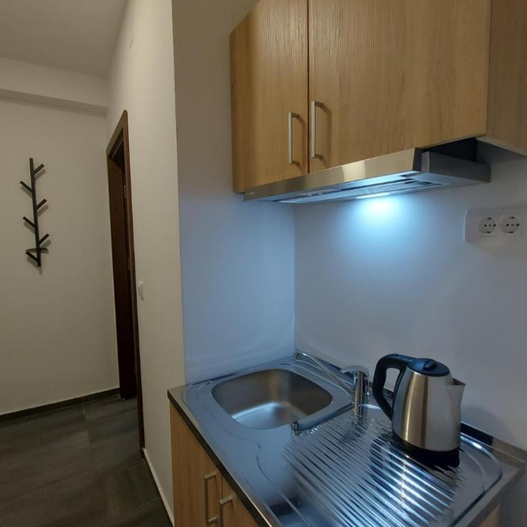 STAN NA DAN - MrParis - sa parking mestom - One-Bedroom Apartment - 13