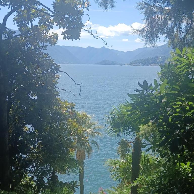 Namaste apartment Fiumelatte-lake view - One-Bedroom Apartment - 21