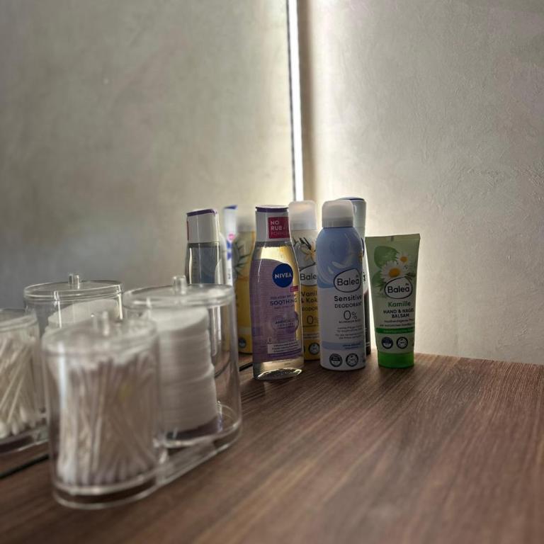 Primavera apartments Banja Koviljaca - Apartman sa 1 Spavaćom Sobom - 25