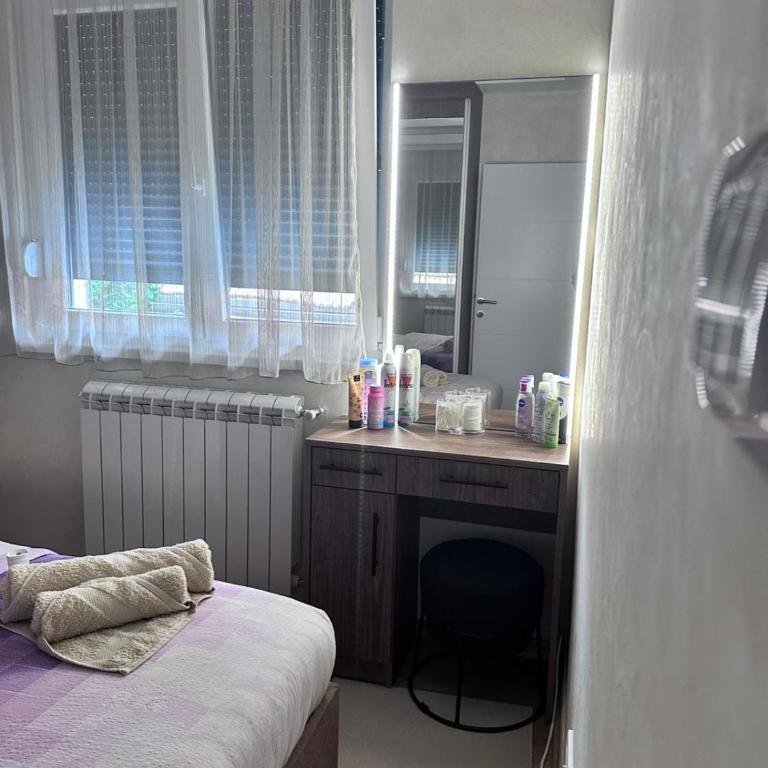 Primavera apartments Banja Koviljaca - Apartman sa 1 Spavaćom Sobom - 27