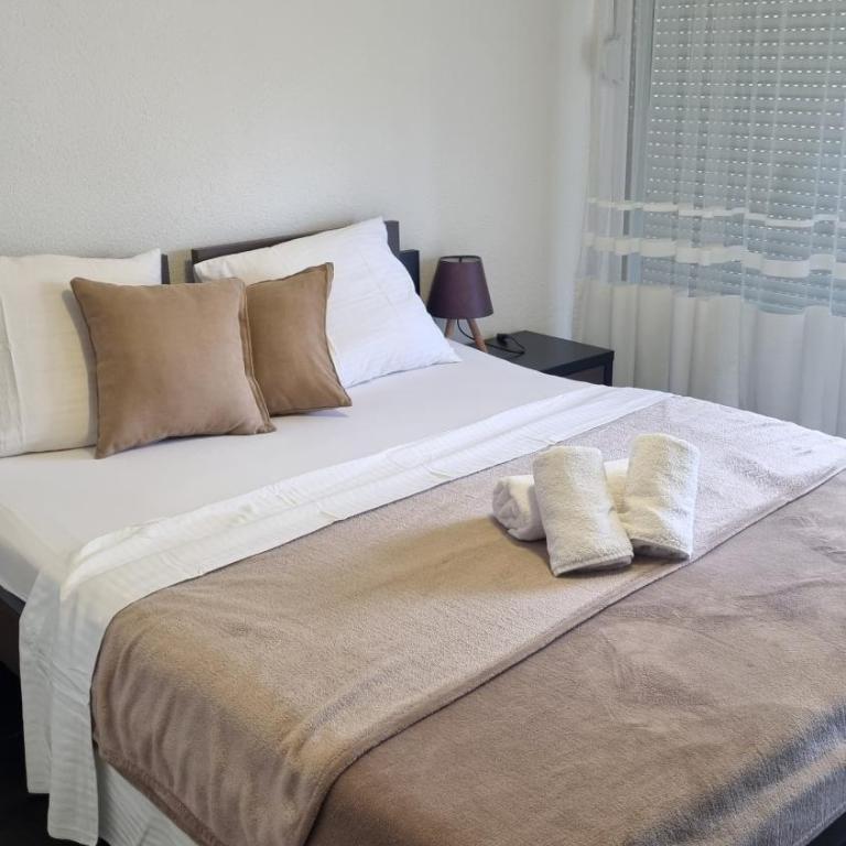 Apartmani Sutomore Tri Palme - Standardna Dvokrevetna Soba sa Bračnim Krevetom - 8