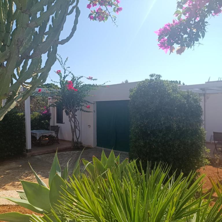 Casa Sirio - Appartamento - 2