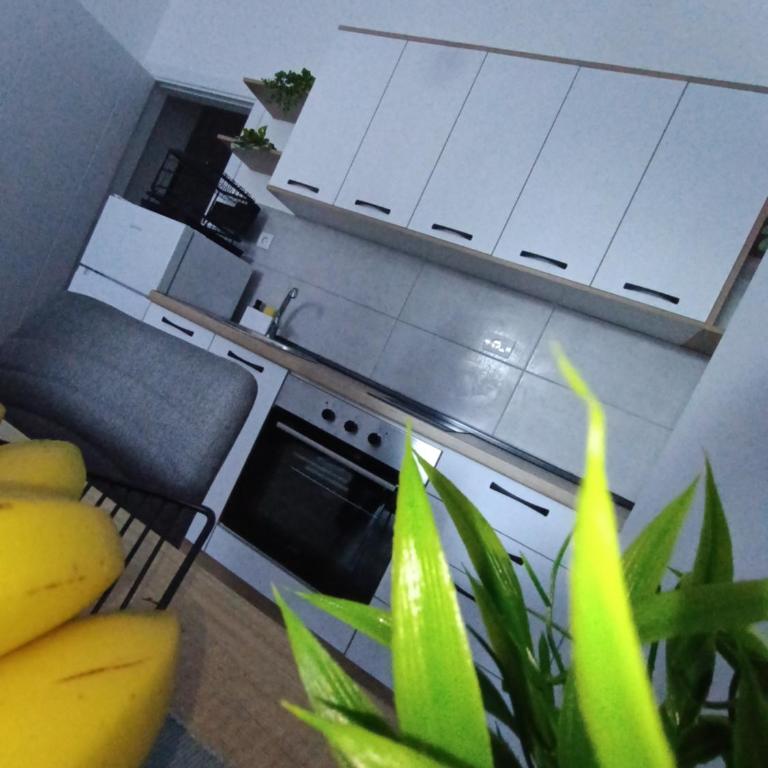 Udoban kutak 1 - One-Bedroom Apartment - 22