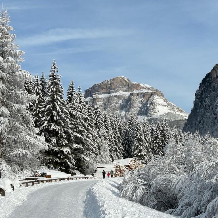 Il Sole delle Dolomiti - Appartamento - 23