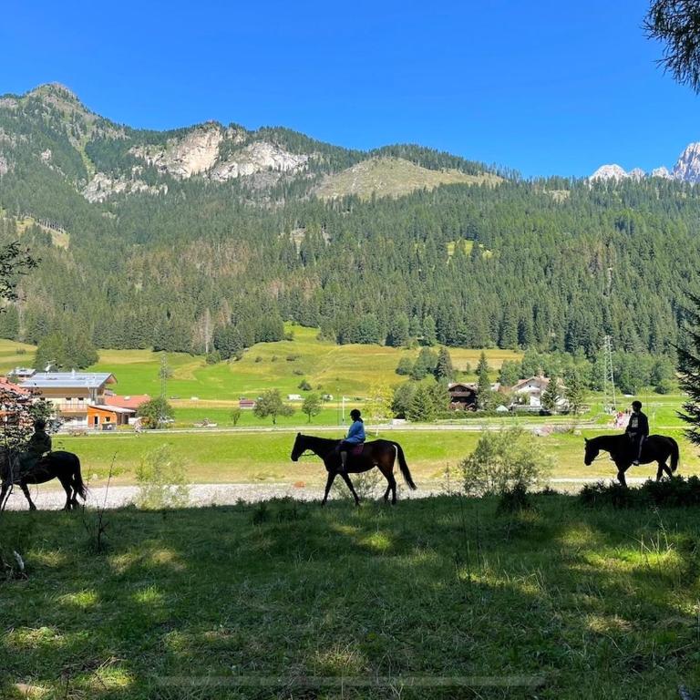 Il Sole delle Dolomiti - Appartamento - 25
