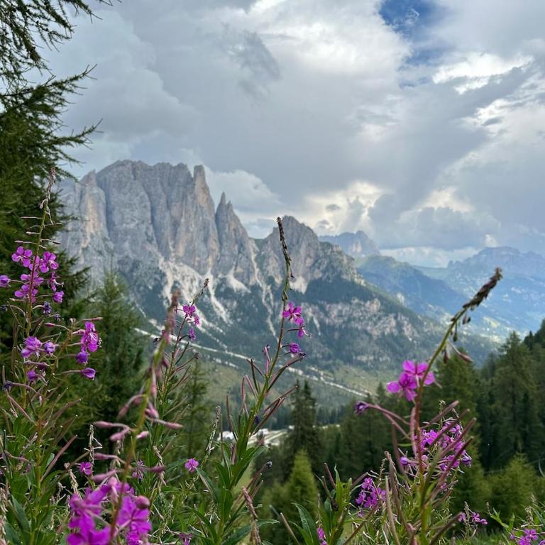 Il Sole delle Dolomiti - Appartamento - 31