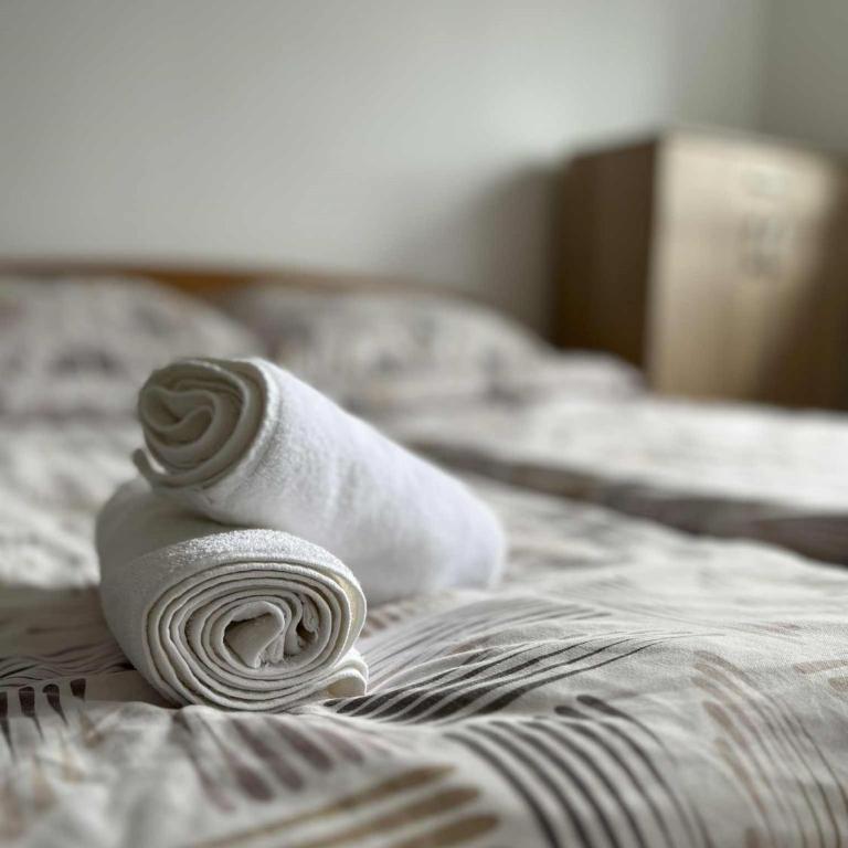 Apartman Mekica - Apartman sa 2 Spavaće Sobe - 1