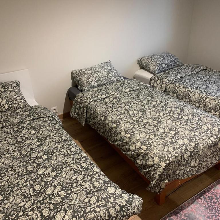 Petit appartement dans une maison au calme - Appartement 1 Chambre - 1
