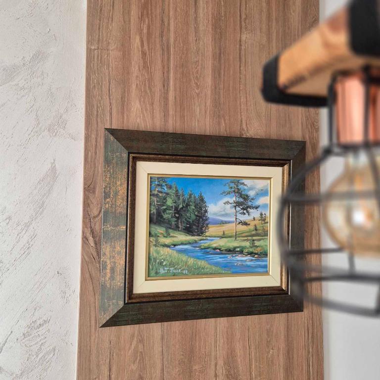 Apartman Tamjanika LUX - Apartman sa 1 Spavaćom Sobom - 16