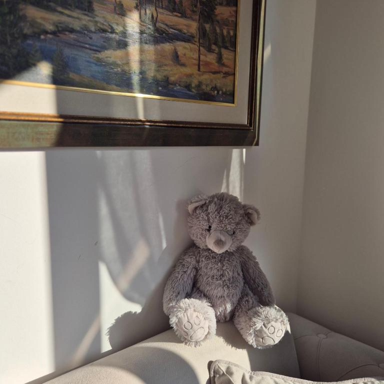 Apartman Tamjanika LUX - Apartman sa 1 Spavaćom Sobom - 12