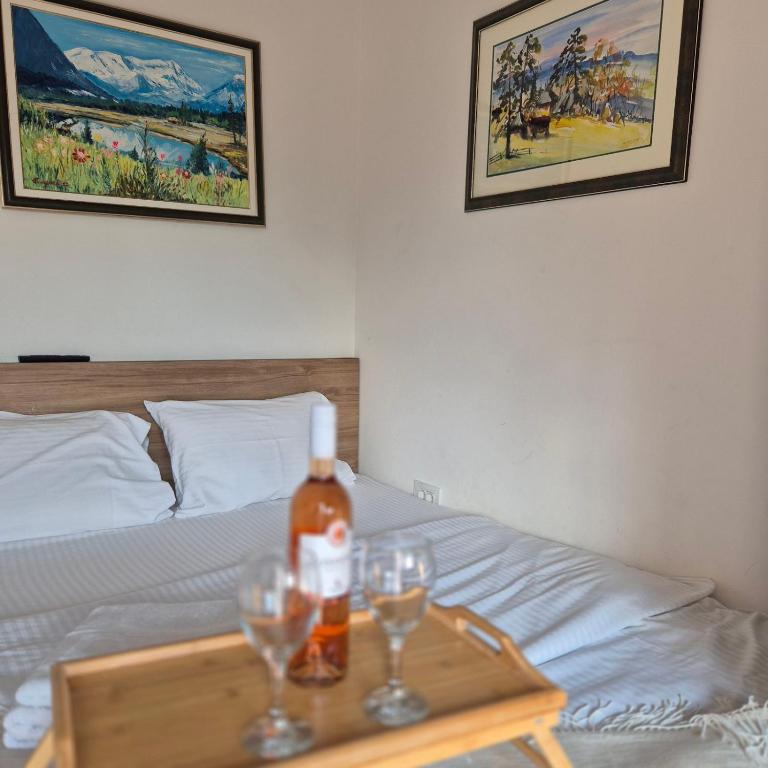 Apartman Tamjanika LUX - Apartman sa 1 Spavaćom Sobom - 10