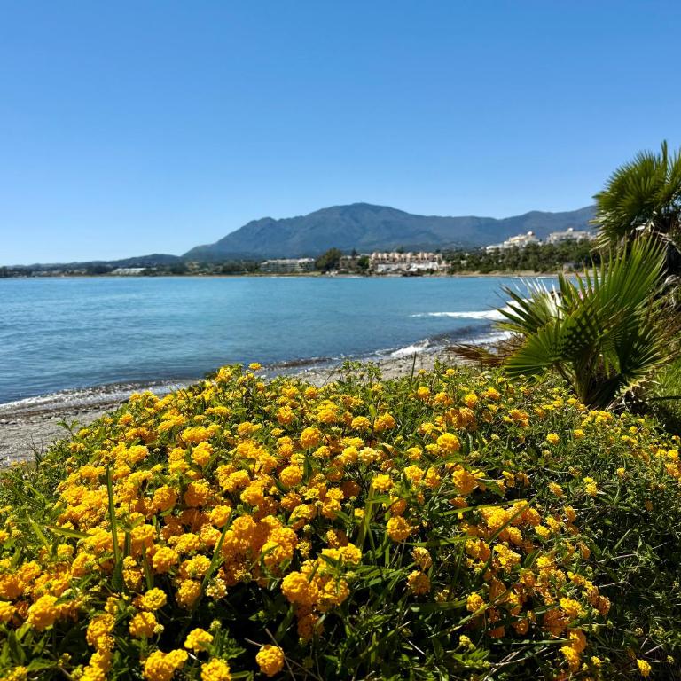 Dream Holidays by the Sea Estepona - Two-Bedroom Apartment - 32