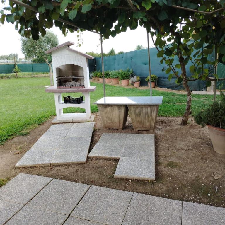 LEMON VILLA - Villa - 34