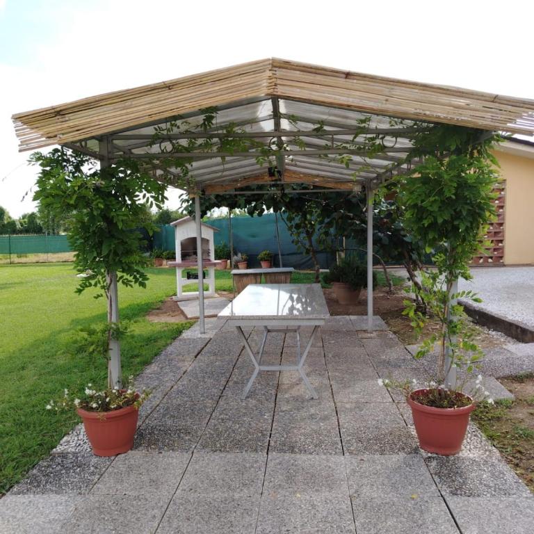 LEMON VILLA - Villa - 35