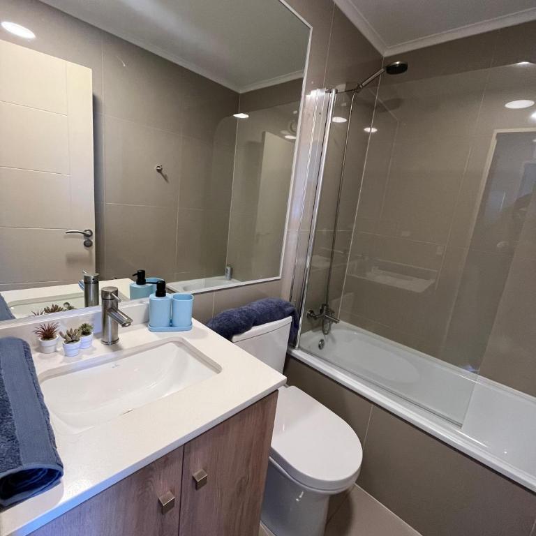 Estudio centro chillán ñuble - Apartamento de 1 dormitorio - 8