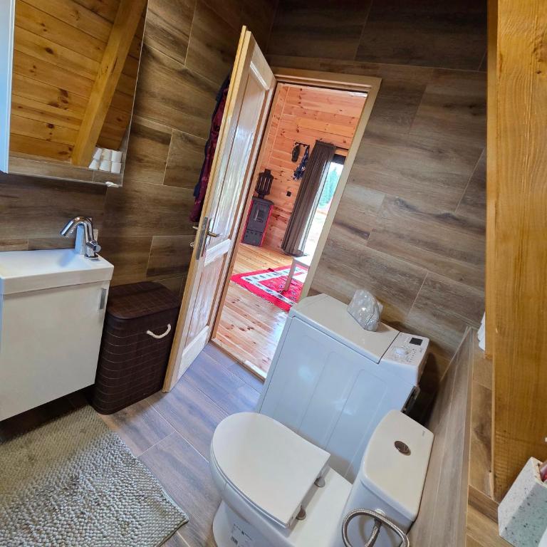 Vila Vida - Kuća sa 2 Spavaće Sobe - 22