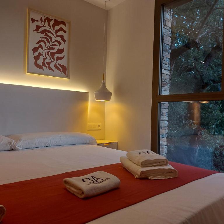 Apartamentos Ordesa Ainsa - Studio - 13