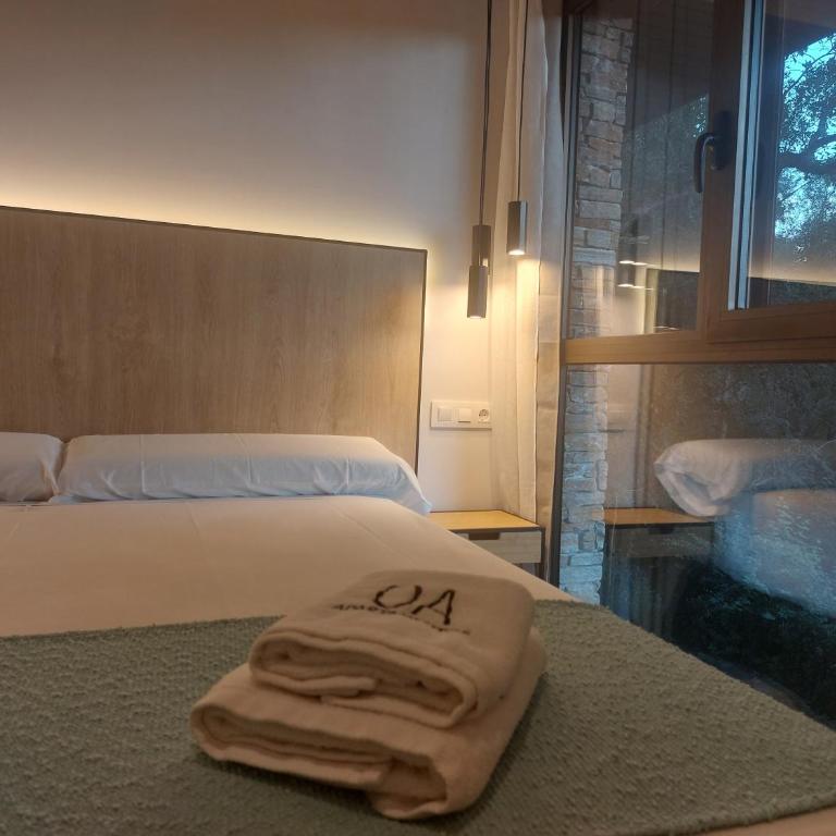 Apartamentos Ordesa Ainsa - One-Bedroom Deluxe Apartment - 11