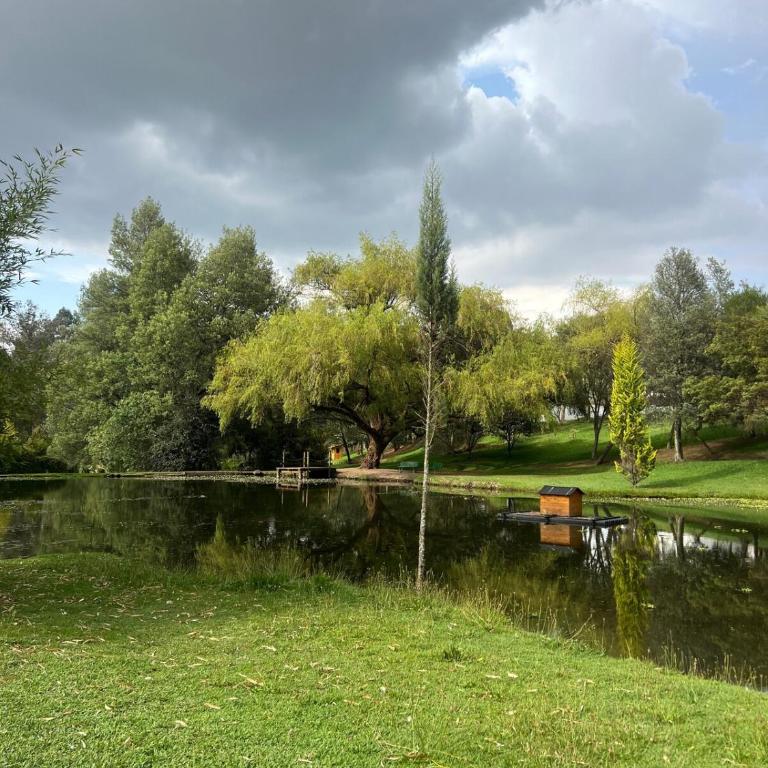 Escapada con Lago y Jacuzzi - Apartamento de 1 dormitorio - 9