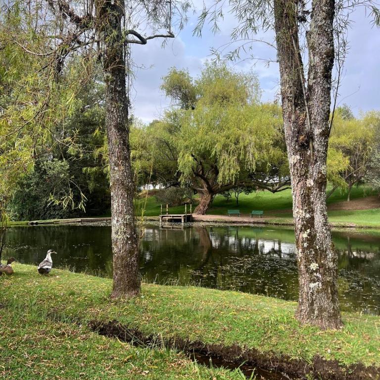 Escapada con Lago y Jacuzzi - Apartamento de 1 dormitorio - 36