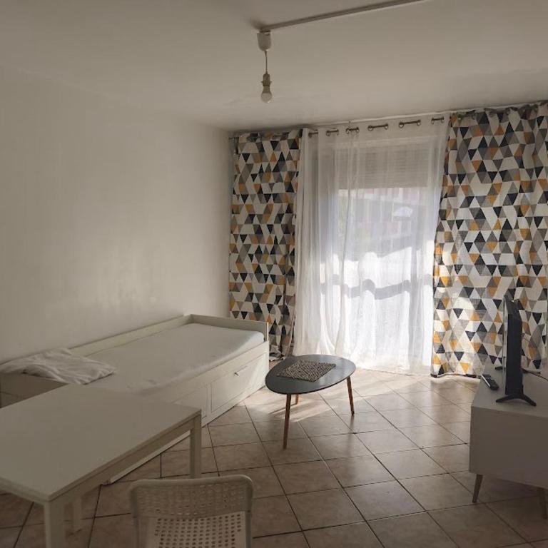 studio lumineux avec balcon - Appartement 1 Chambre - 1