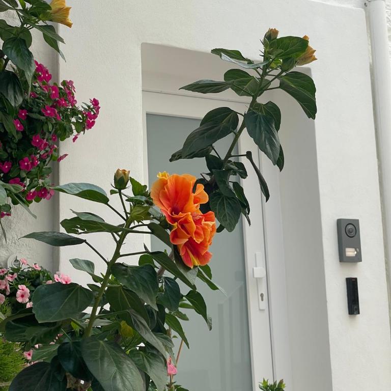 Dimora del Vico - Mediterranean Apartment & Suite - Superior Apartment - 28