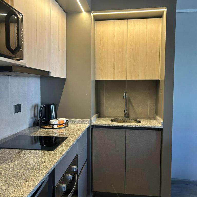DEPARTAMENTO MODERNO Y COMODO CERCA A MOVISTAR ARENA Y FANTASILANDIA - One-Bedroom Apartment - 33
