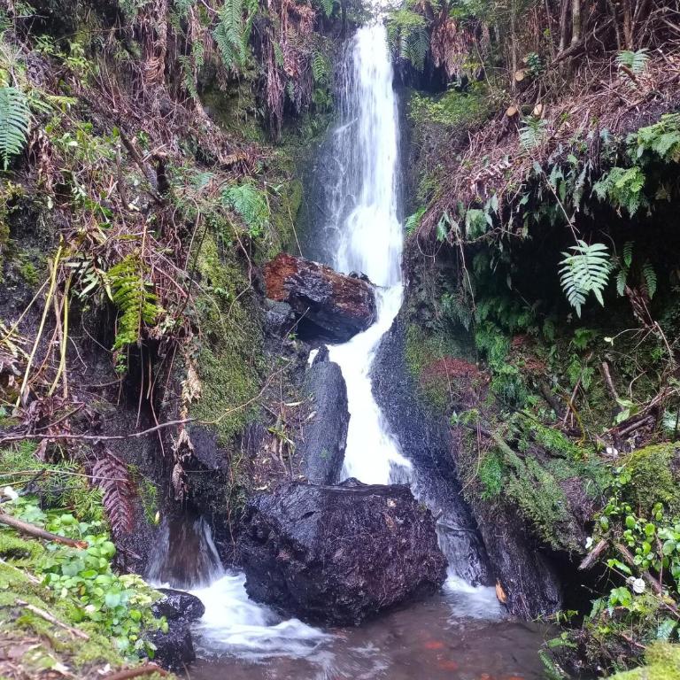 Entre saltos y termas - Chalet de 3 dormitorios - 5