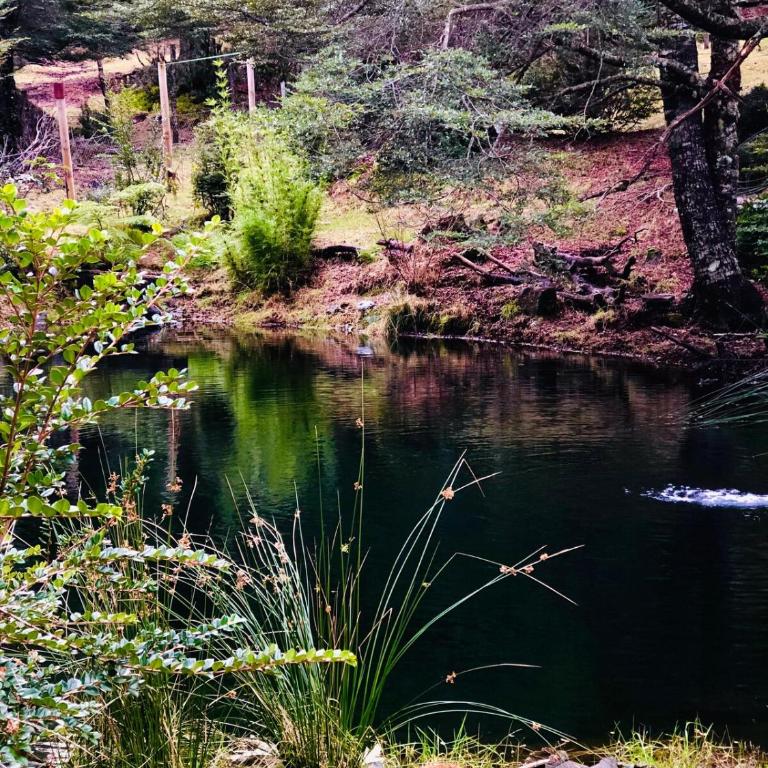 Entre saltos y termas - Chalet de 3 dormitorios - 6