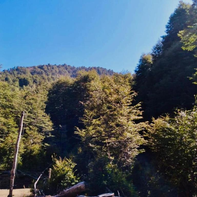 Entre saltos y termas - Chalet de 3 dormitorios - 14