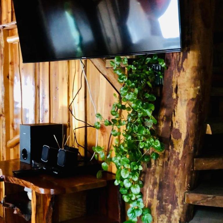 Entre saltos y termas - Chalet de 3 dormitorios - 28