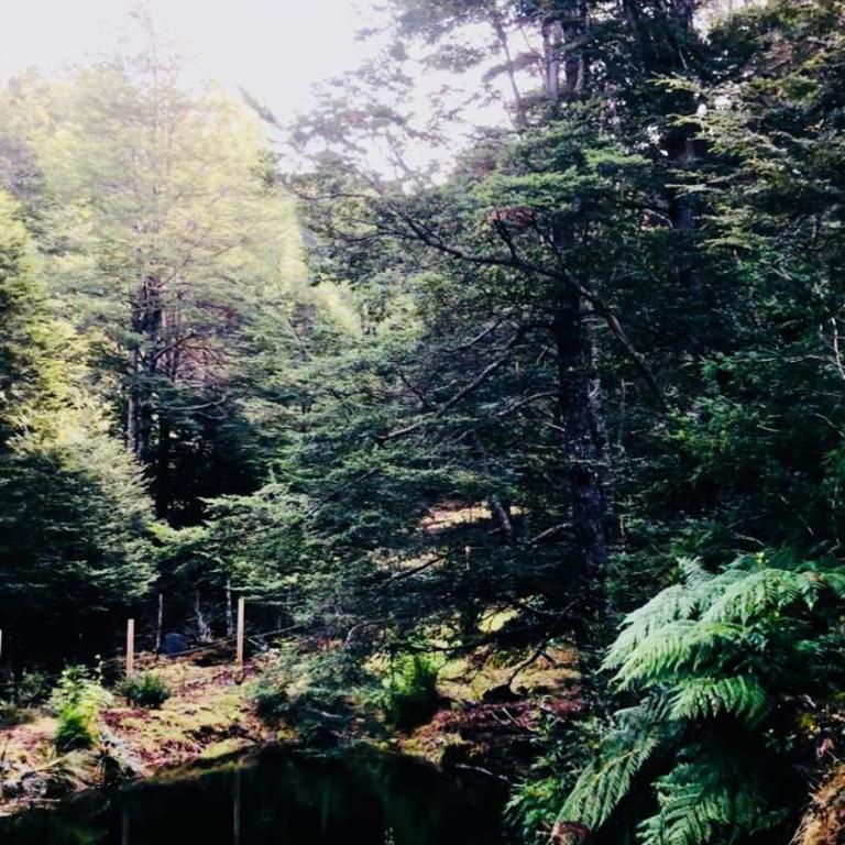 Entre saltos y termas - Chalet de 3 dormitorios - 29