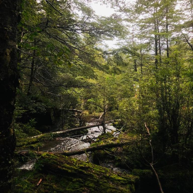 Entre saltos y termas - Chalet de 3 dormitorios - 30