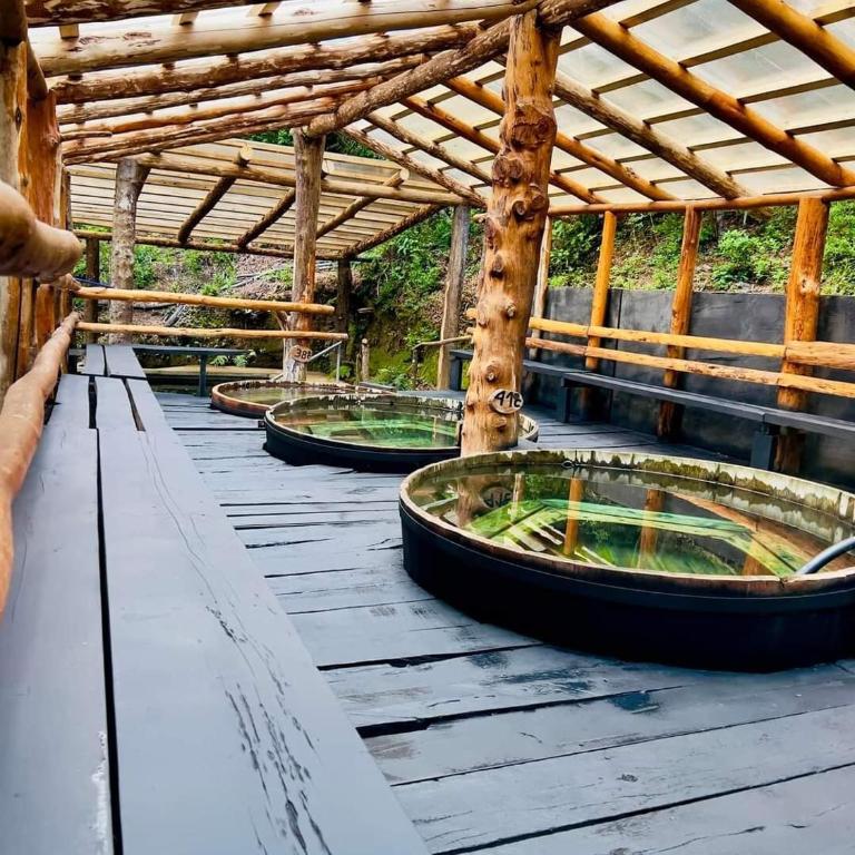 Entre saltos y termas - Chalet de 3 dormitorios - 33