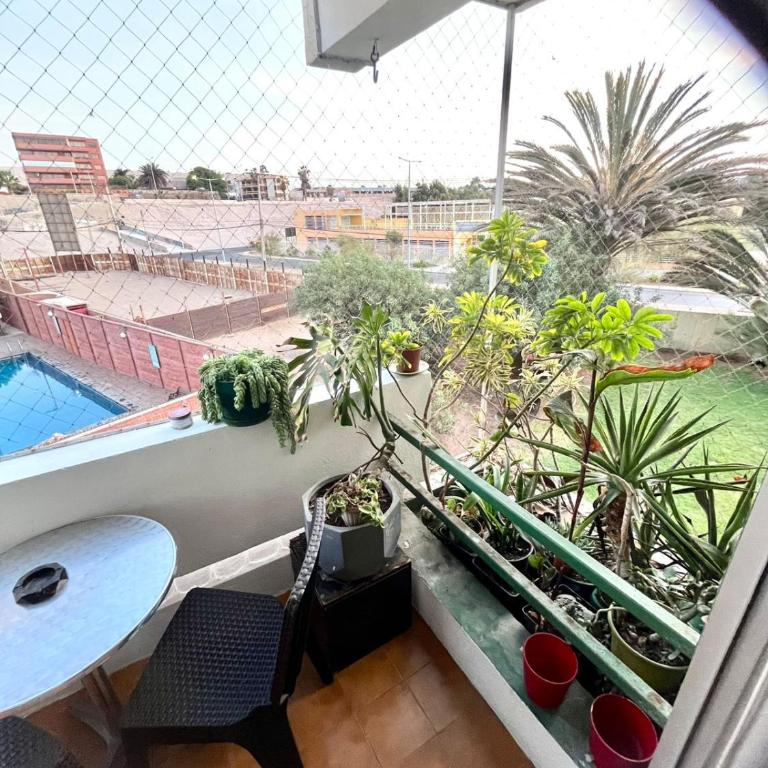 Cozy Apartment Near Chinchorro Beach - Three-Bedroom Apartment - 6