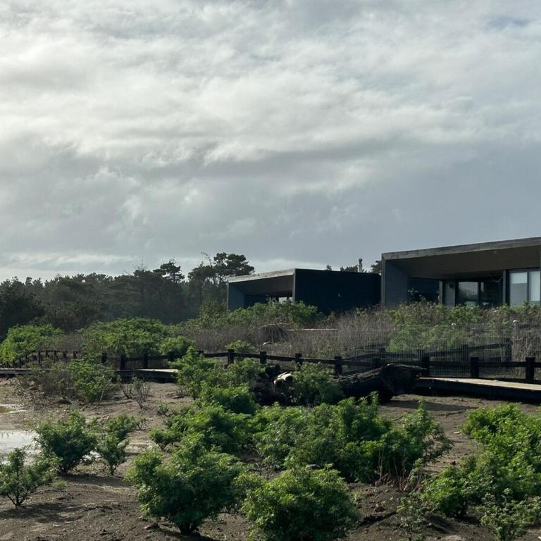 Sunset House - Endemic-Punta de Lobos - One-Bedroom House - 40