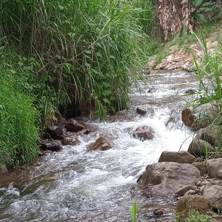 El descanso - Habitación Doble - 2 camas - 4