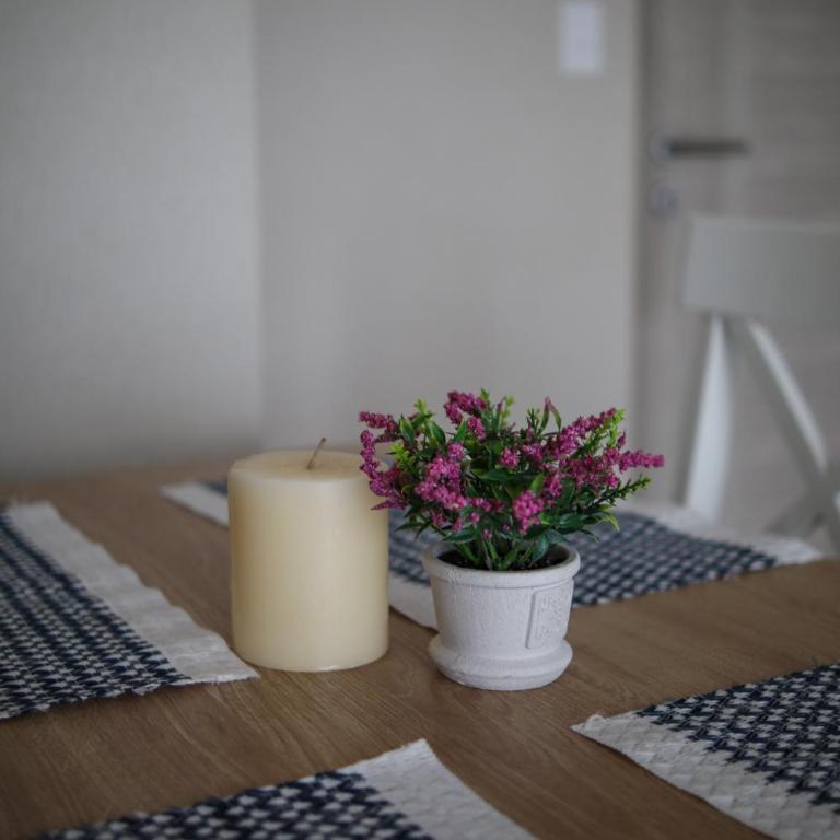 Lovely apartment - Two-Bedroom Apartment - 46