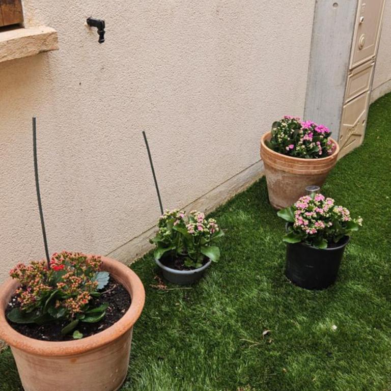 residence eureka T2 proche du camp - Apartamento de 1 dormitorio - 4