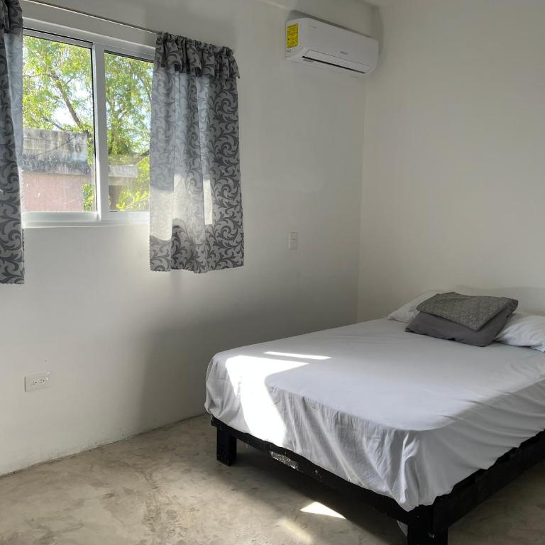 Departamento de 2 Recámaras - One-Bedroom Apartment - 2