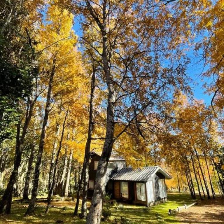 Daben Recinto Ñuble camino Termas de Chillan - Chalet - 2