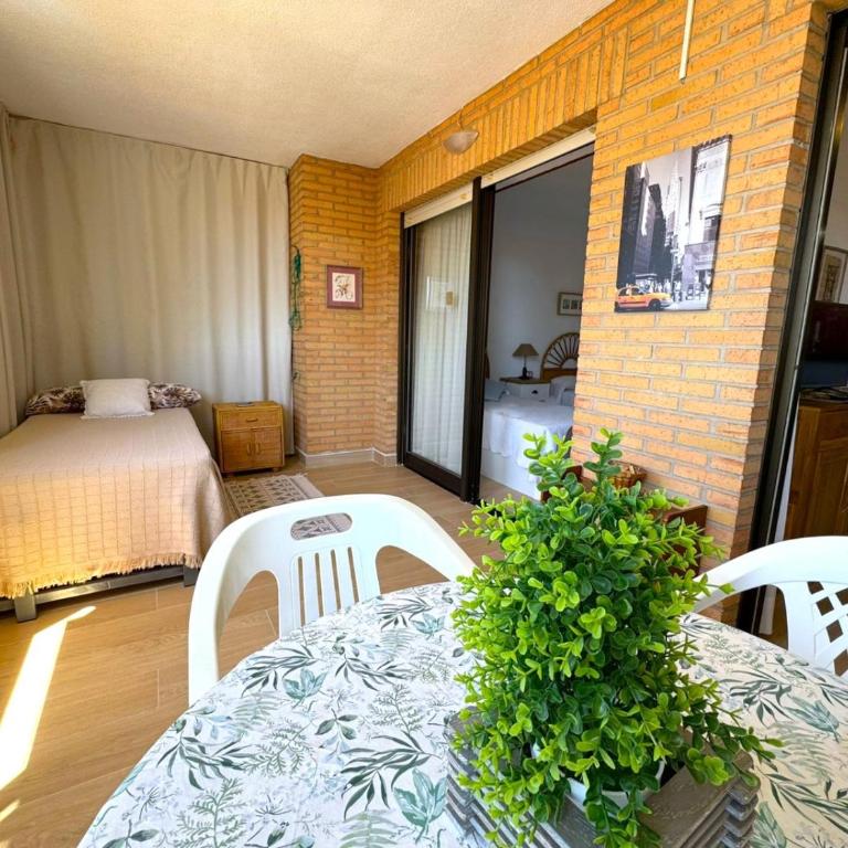Albaida Parque - Apartamento de 1 dormitorio - 36